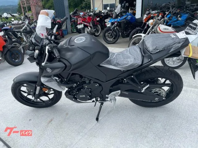 Yamaha MT-25 2024 — миниатюра 2