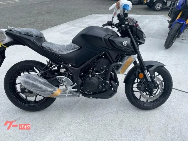 Yamaha MT-25 2024 — фото 1, купить с доставкой в Москву