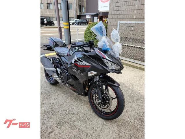 Kawasaki Ninja 400 2025 — миниатюра 5