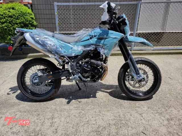 Kawasaki KLX230SM 2025 — фото 1, купить с доставкой в Москву
