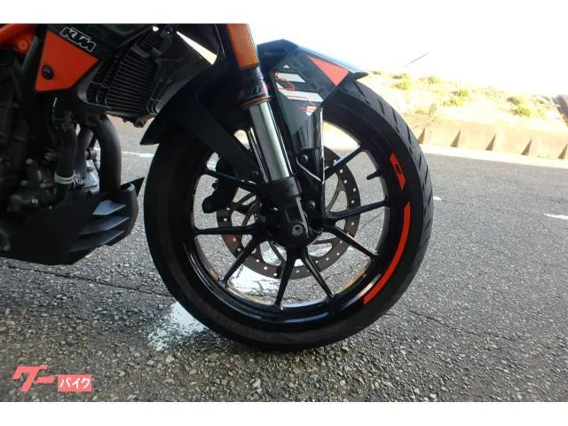 KTM 250 2022 — миниатюра 4