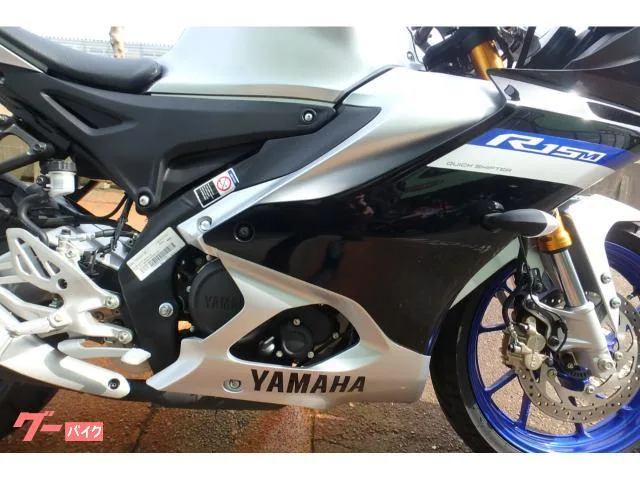 Yamaha YZF-R15M 2024 — миниатюра 2