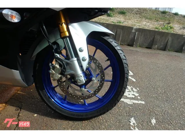 Yamaha YZF-R15M 2024 — миниатюра 4