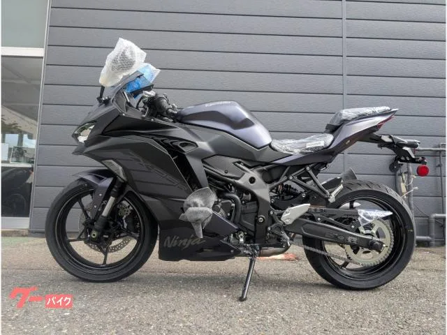 Kawasaki Ninja ZX-25R SE 2025 — миниатюра 2