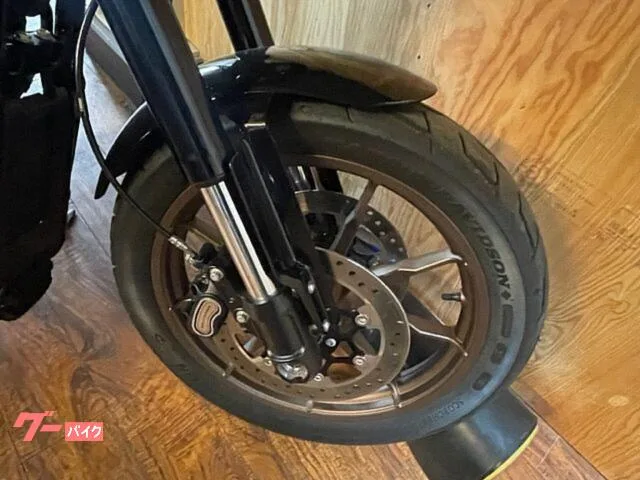 HARLEY-DAVIDSON FXLRS S 2022 — миниатюра 3