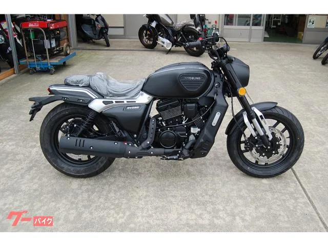 HYOSUNG GV250DRA 2023 — миниатюра 2