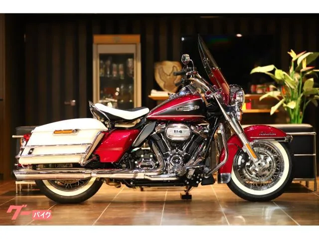HARLEY-DAVIDSON FLHFB 2023 — фото 1, купить с доставкой в Москву