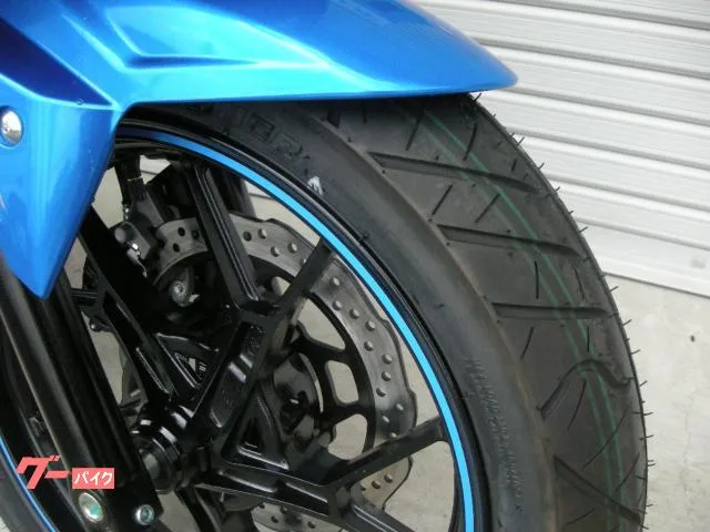 Suzuki GSX250R 2022 — миниатюра 2