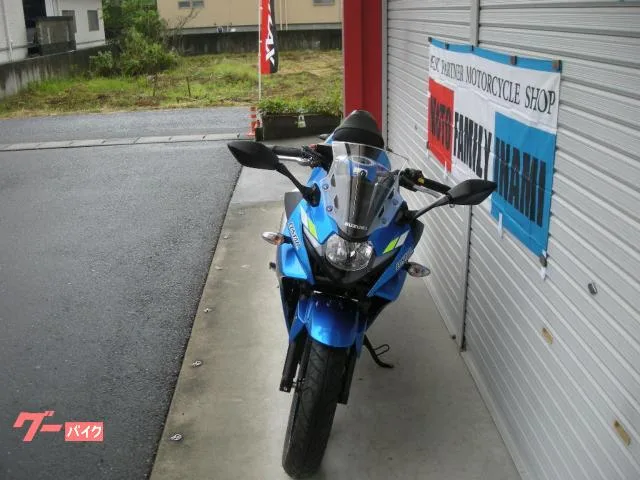 Suzuki GSX250R 2022 — миниатюра 4