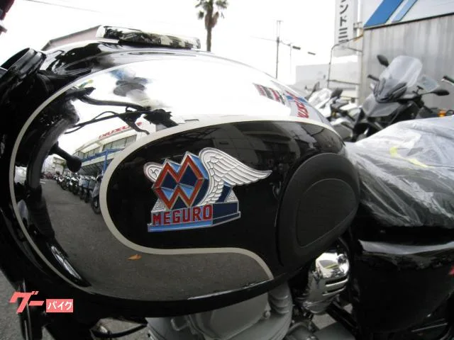 Kawasaki S1 2025 — миниатюра 5