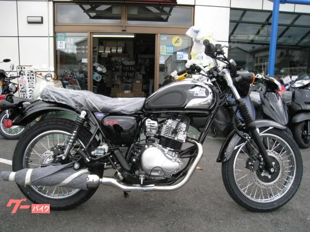 Kawasaki S1 2025 — фото 1, купить с доставкой в Москву