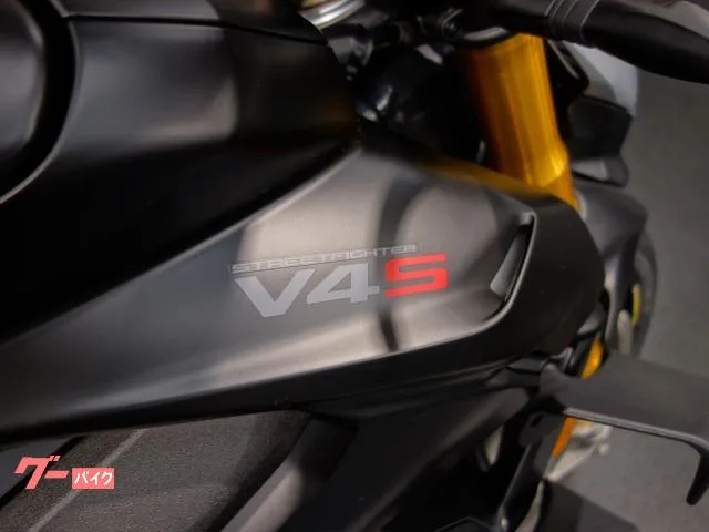 DUCATI V4S 2024 — миниатюра 4