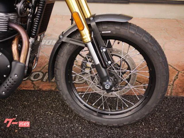 ROYAL ENFIELD 650 2025 — миниатюра 2