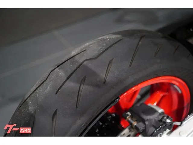DUCATI 698 RVE 2024 — миниатюра 2