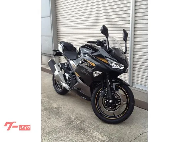 Kawasaki Ninja 400 2022 — миниатюра 3