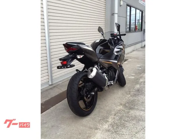 Kawasaki Ninja 400 2022 — миниатюра 4