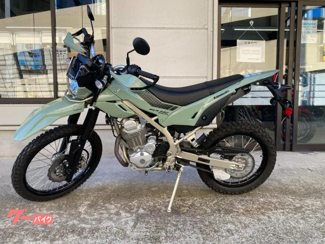 Kawasaki KLX230 2025 — фото 1, купить с доставкой в Москву