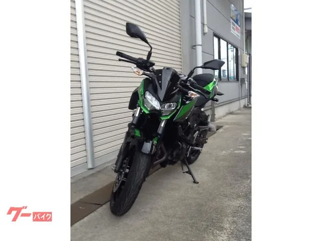 Kawasaki Z250 2024 — миниатюра 3
