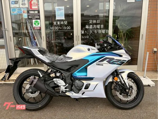 Yamaha YZF-R25 25 2025 — миниатюра 3