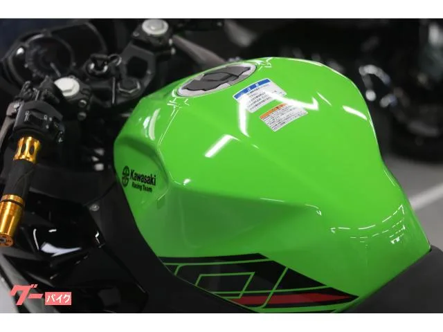 Kawasaki Ninja 250 KRT 2023 — миниатюра 2
