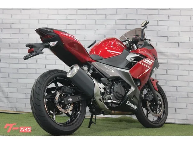 Kawasaki Ninja 250 USB 2022 — миниатюра 3