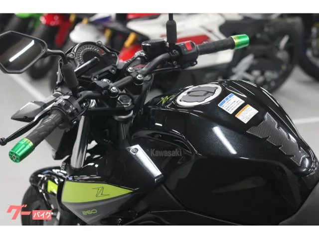 Kawasaki Z250 USB 2.0ETC 2022 — миниатюра 4