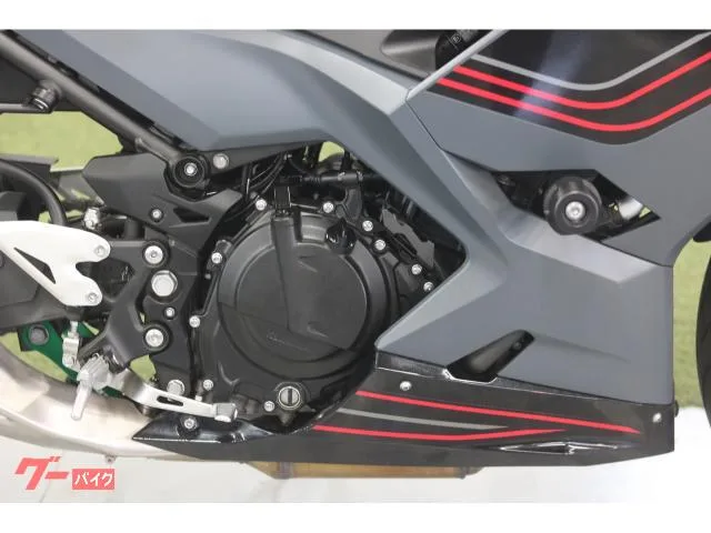 Kawasaki Ninja 400 2024 — миниатюра 2