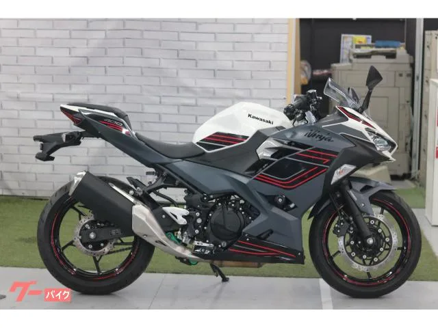 Kawasaki Ninja 400 2024 — миниатюра 3
