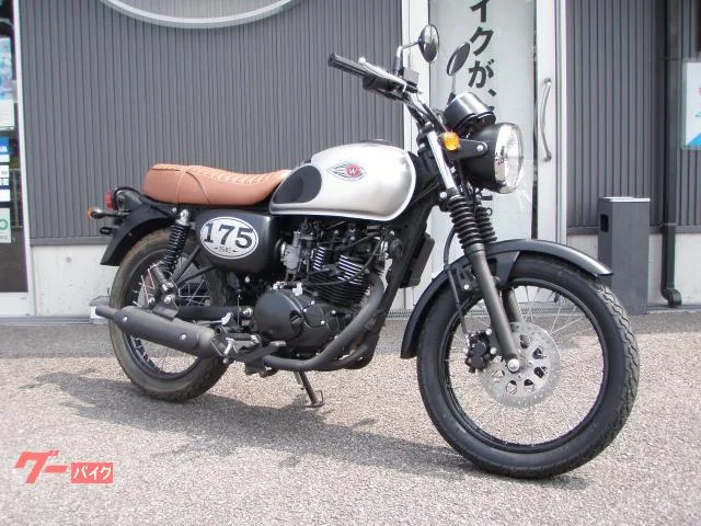 Kawasaki W175SE 2023 — фото 1, купить с доставкой в Москву