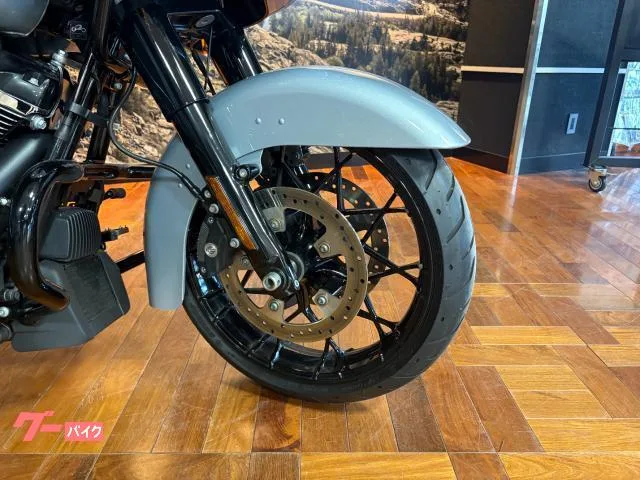 HARLEY-DAVIDSON FLTRXS 10 Screamin Eagle 2023 — миниатюра 5