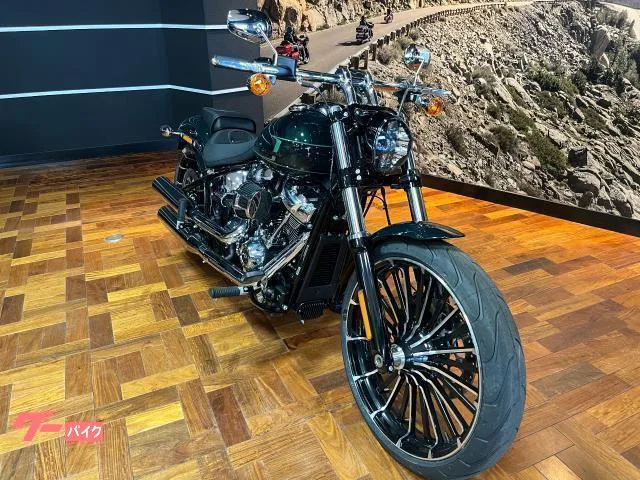 HARLEY-DAVIDSON FXBR 117 1923cc 2024 — миниатюра 3