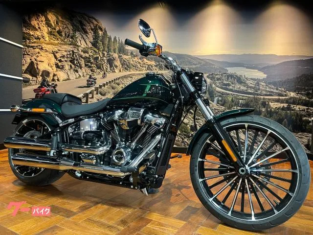 HARLEY-DAVIDSON FXBR 117 1923cc 2024 — фото 1, купить с доставкой в Москву