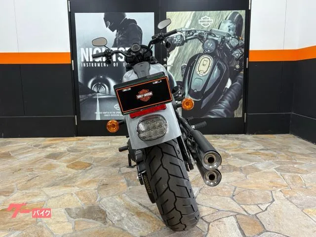HARLEY-DAVIDSON FXLRS S 117 2024 — миниатюра 2