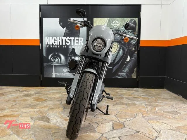 HARLEY-DAVIDSON FXLRS S 117 2024 — миниатюра 4