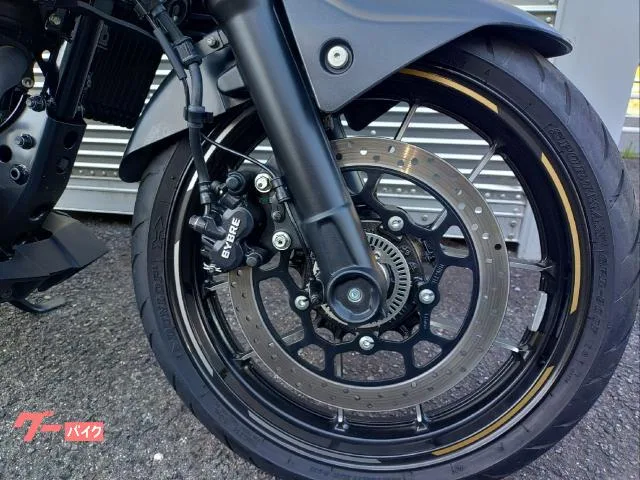 Suzuki GIXXER 250 ABS 2023 — миниатюра 2