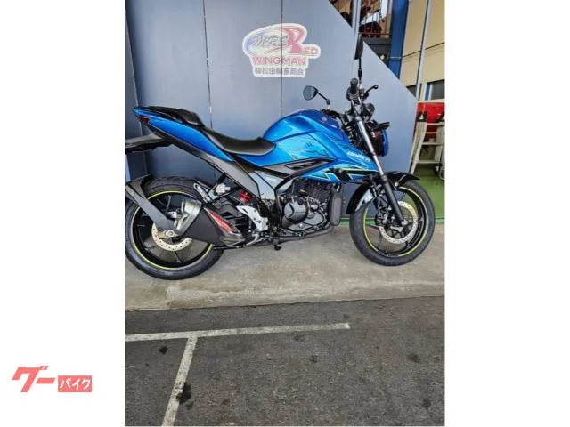 Suzuki GIXXER 150 2024 — фото 1, купить с доставкой в Москву