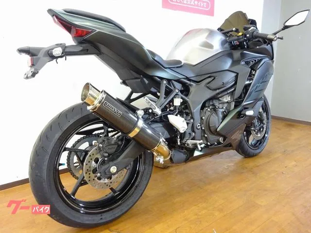 Kawasaki Ninja ZX-4R SE/ // 2025 — миниатюра 2