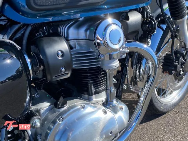 Kawasaki W800 2026 2026 — миниатюра 2
