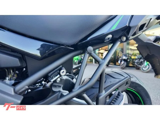 Kawasaki Versys 650 ETC 2025 — миниатюра 2