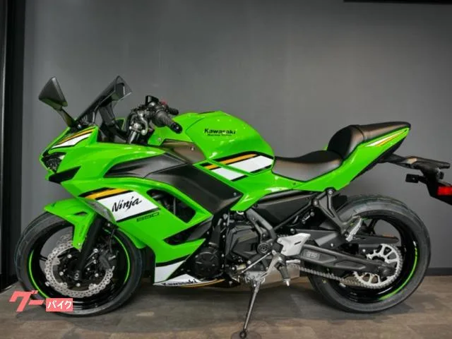 Kawasaki Ninja 650 KRT EDITION ETC2.0 2025 — миниатюра 2