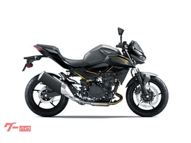 Kawasaki Z500 2026 — миниатюра 3