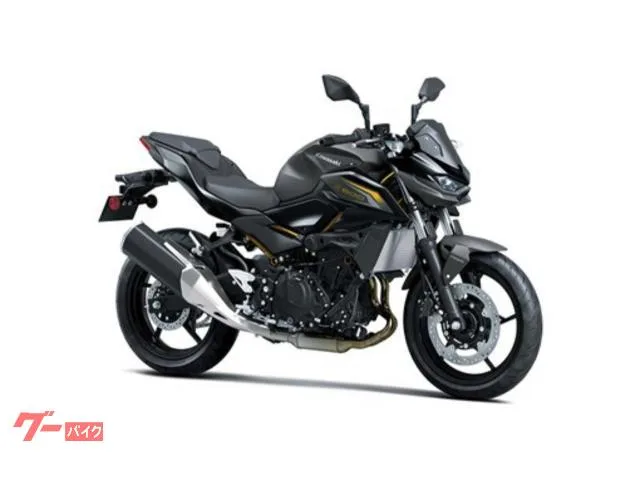 Kawasaki Z500 2026 — фото 1, купить с доставкой в Москву