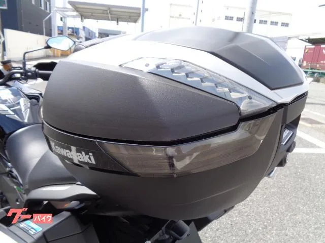 Kawasaki Versys 1000 SE 2024 2024 — миниатюра 2