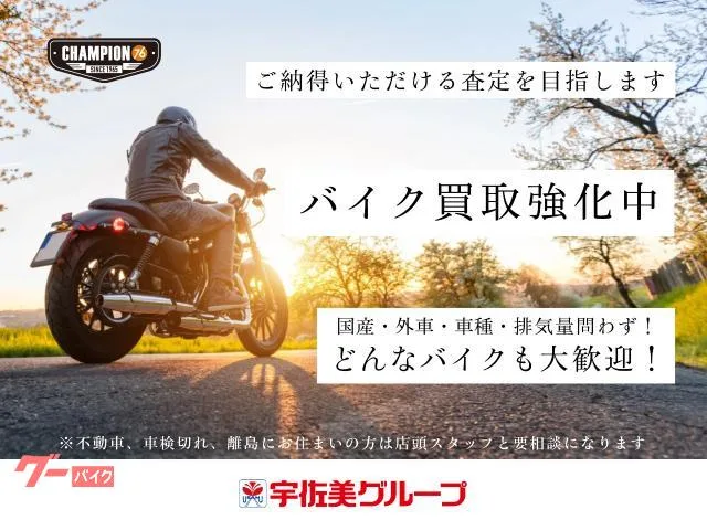 HARLEY-DAVIDSON XL1200X ETC2.0 2022 — миниатюра 3