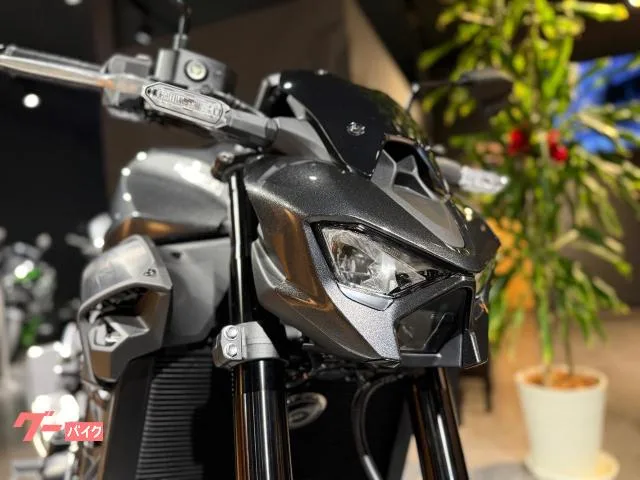 Kawasaki Z900 ETC USB 2026 — миниатюра 2