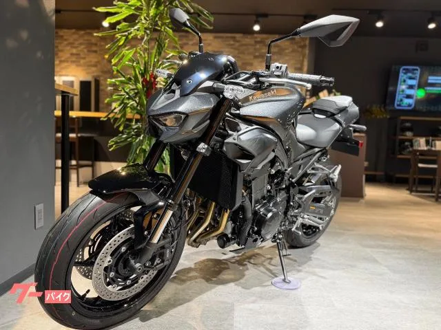 Kawasaki Z900 ETC USB 2026 — миниатюра 3
