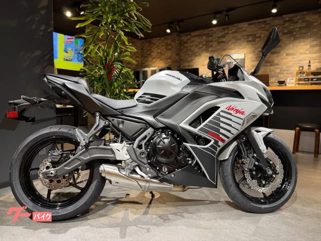 Kawasaki Ninja 650 2026 — фото 1, купить с доставкой в Москву