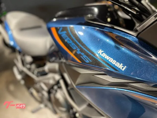 Kawasaki Versys 650 2026 — миниатюра 2