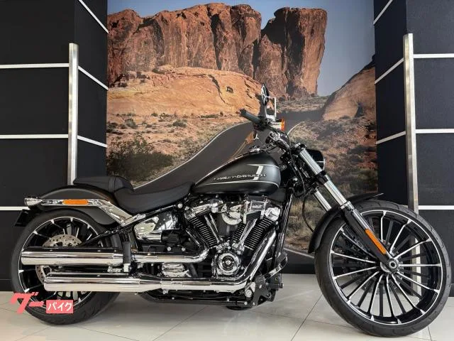 HARLEY-DAVIDSON FXBR 260 117 2023 — миниатюра 3