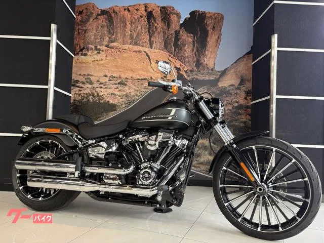 HARLEY-DAVIDSON FXBR 260 117 2023 — фото 1, купить с доставкой в Москву